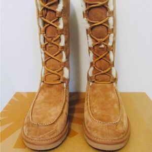 UGG Australia Women's UPTOWN II Tall Boot 8US CHESTNUT Brown Suede NIB